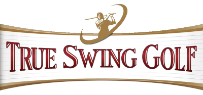 True Swing Golf title screen for Nintendo DS